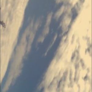 Meet your Posher, Ella